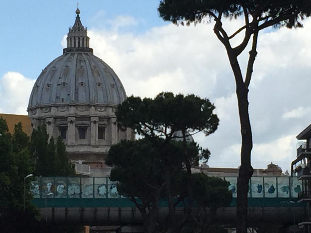 Saint Peter Welcoming Appartamento Roma